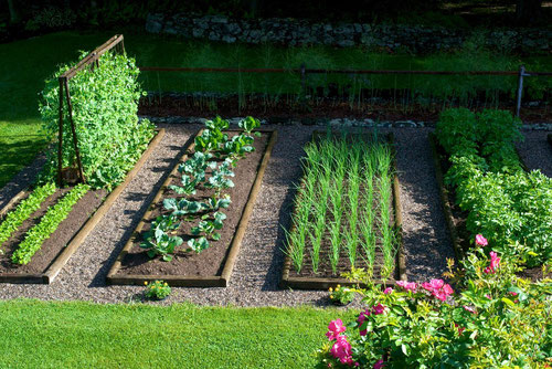 the-raised-bed-vegetable-garden-at-distant-hill-gardens